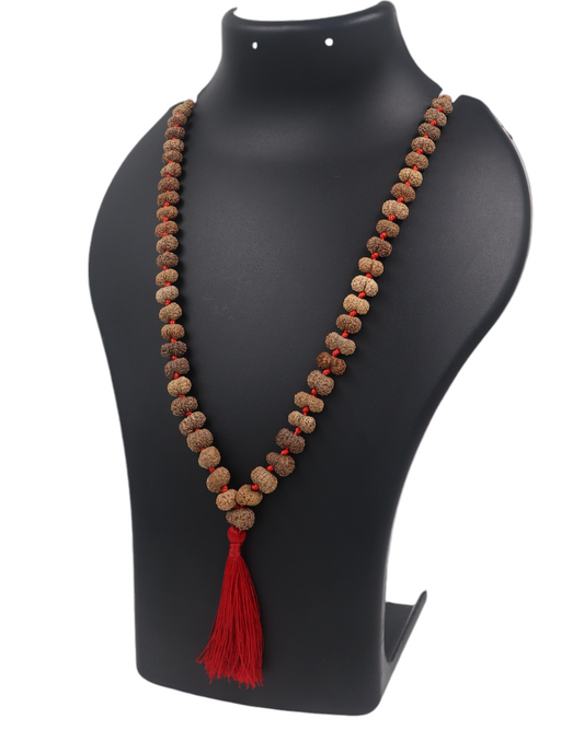 hand picked rudraksha