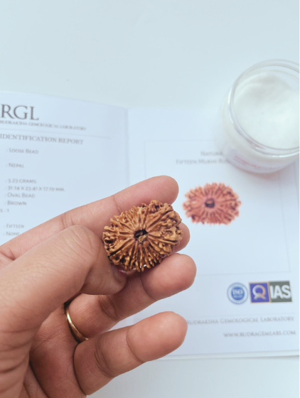 ShivaRatna 15 Mukhi/ Fifteen Face Rudraksha with Certificate of Authenticity (Elite Range)