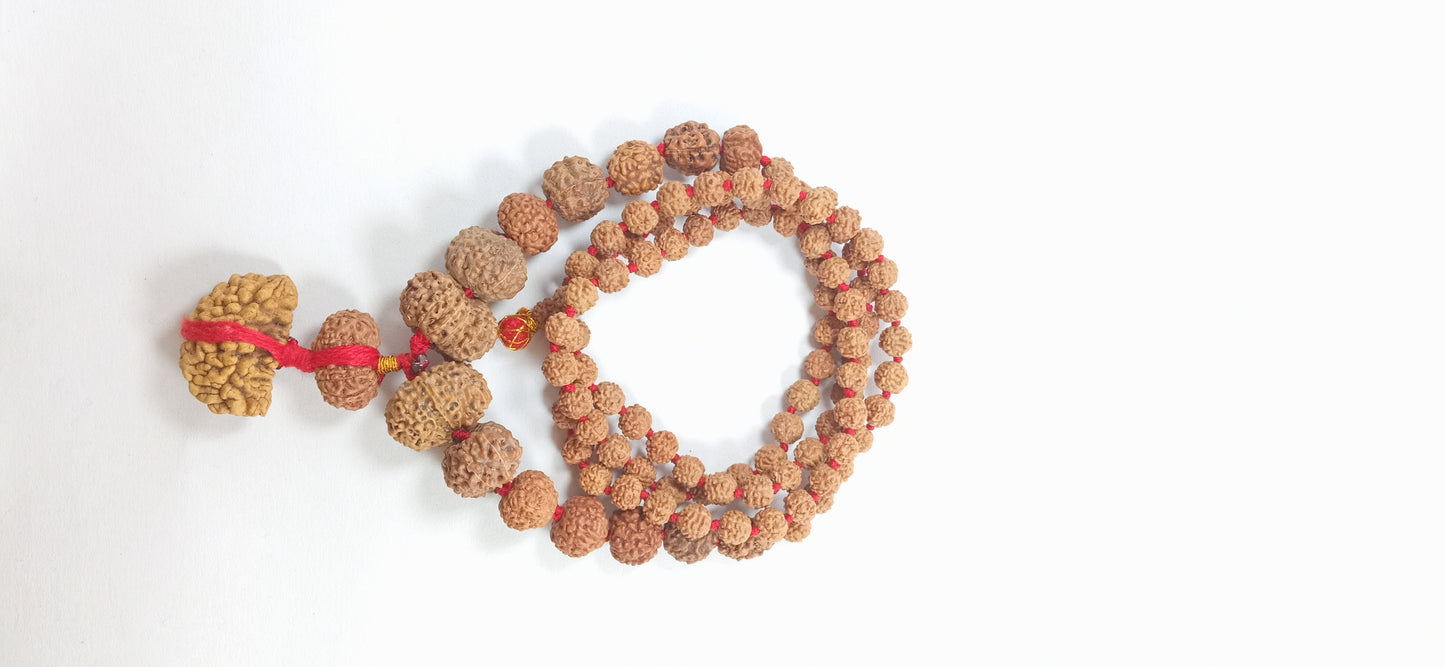 ShivaRatna Siddha Rudraksha Mala 1-14 Mukhi + 5 Mukhi Rudraksha Mala - ShivaRatna