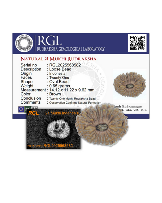 orignal 21mukhi rudraksha by sbhivaratna