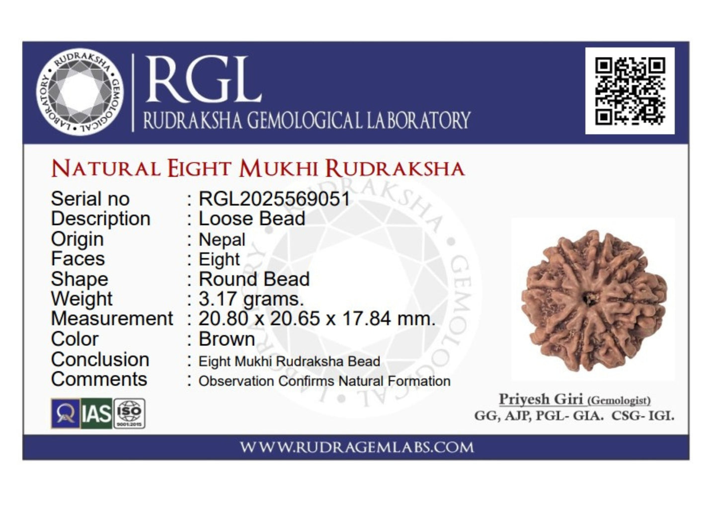 ShivaRatna 8 Mukhi Rudraksha – Certified Nepali Bead, Well-Formed and Fully Matured with X-Ray Verification