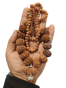 ShivaRatna Siddha Rudraksha Mala 1-14 Mukhi and GauriShankar , Ganesh + 5 Mukhi Rudraksha Mala - Lab Certified(ELITE BEADS) - ShivaRatna