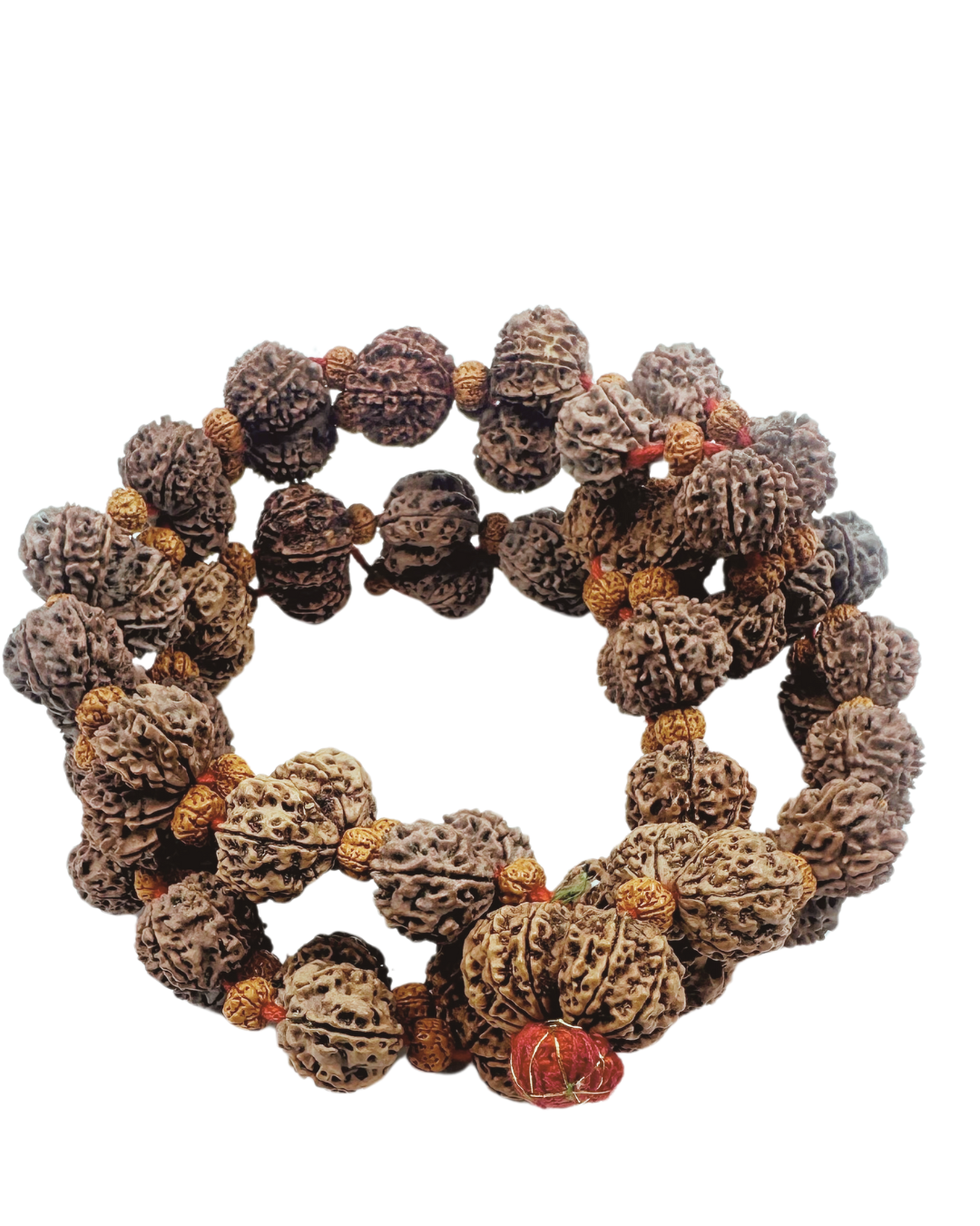 ShivaRatna Gaurishankar Kantha Rudraksha Mala-32 Elite beads (lab Certified)