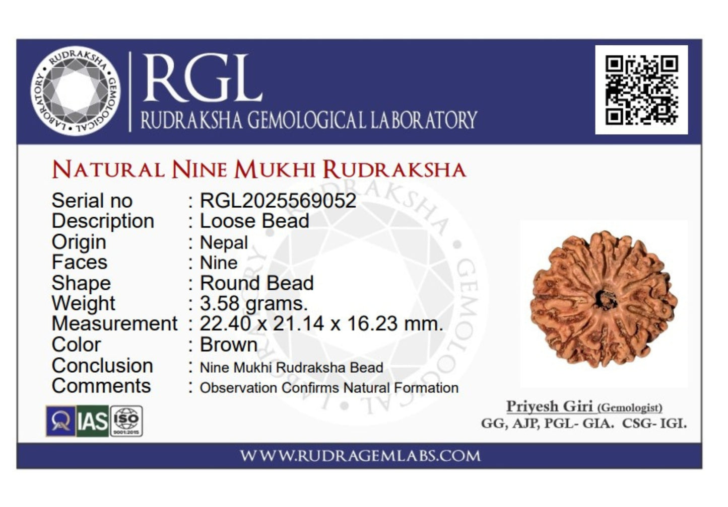 ShivaRatna 9 Mukhi Rudraksha – Certified Nepali Bead, Well-Formed and Fully Matured with X-Ray Verification