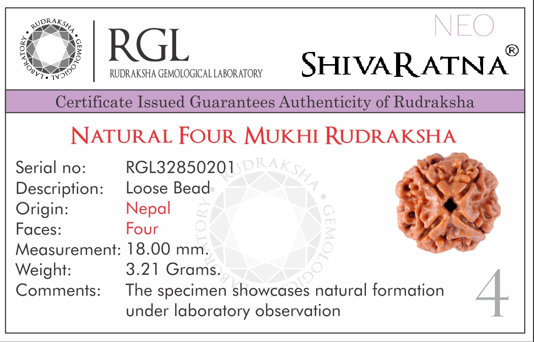 ShivaRatna 4 Mukhi Rudraksha (Nepal) + 109 Beads of Five Mukhi Rudraksha Mala (Pure Silver Cap & Lab - ShivaRatna
