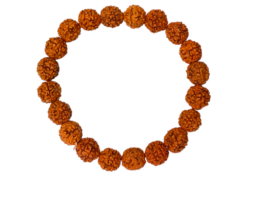 ShivaRatna 5 Mukhi Rudraksha Bracelet
