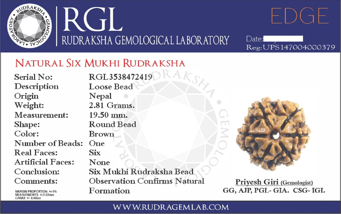certified rudraksha