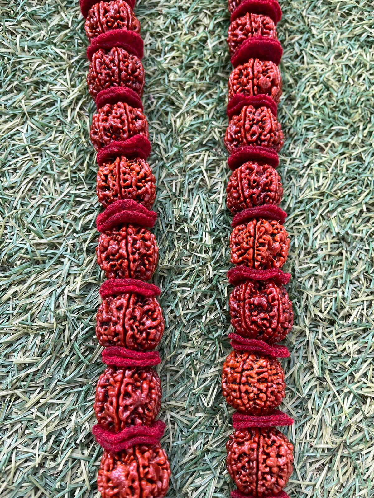 hand picked rudraksha