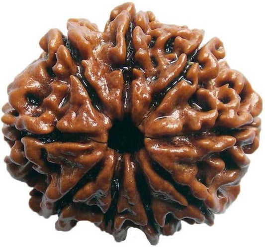 ShivaRatna Rudraksha Kawach For Meditation - ShivaRatna