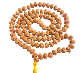 ShivaRatna 9 Mukhi Rudraksha Mala - Lab Certified