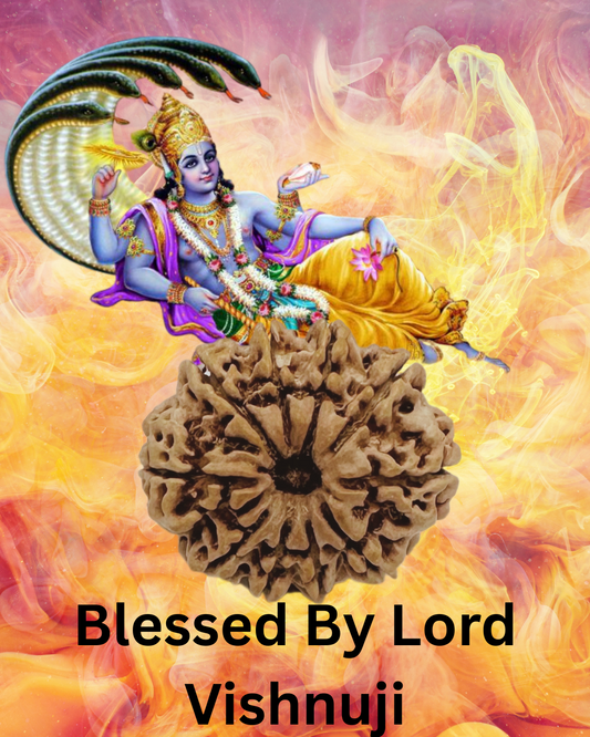 ShivaRatna 10 Mukhi Lab Certified Rudraksha (Origin Nepali) Super Elite (Collector) Bead - ShivaRatna