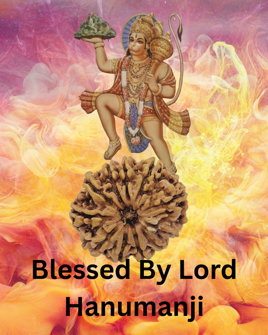 ShivaRatna 11 Mukhi Lab Certified Rudraksha (Origin Nepali) Super Elite (Collector) Bead - ShivaRatna