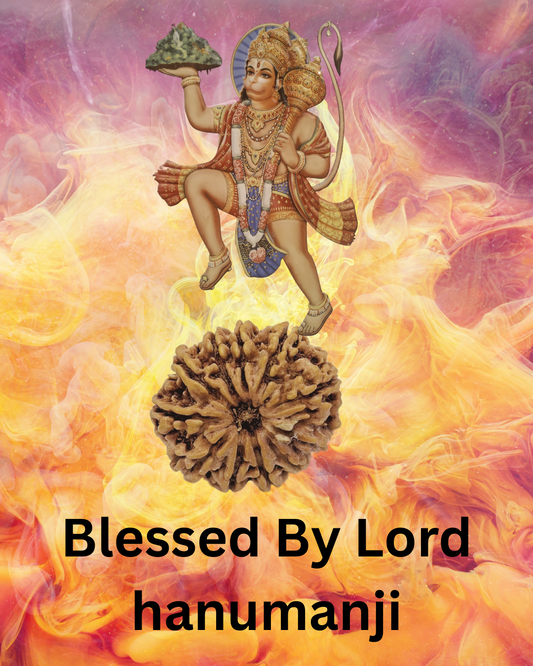 ShivaRatna 11 Mukhi Lab Certified Rudraksha (Origin Nepali) Super Elite (Collector) Bead - ShivaRatna