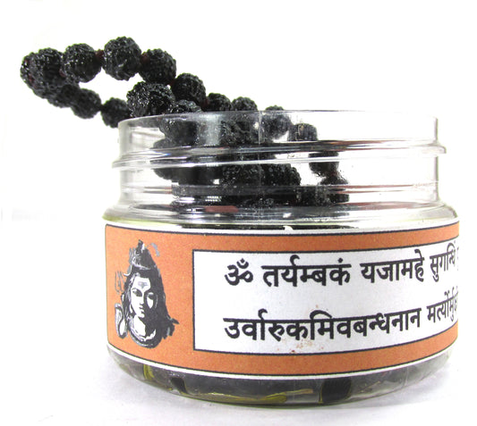 Customer Customization - kaal Sharp Puja ,gaurishankar,Rudraksha Mala