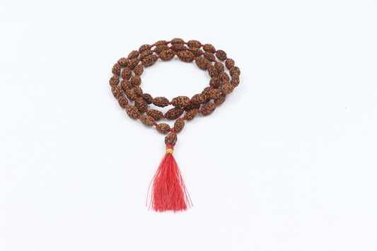 ShivaRatna 2 Mukhi Rudraksha Mala (54+1 Beads ) - Lab Certified - ShivaRatna