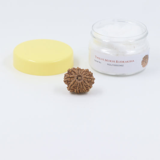 ShivaRatna Customized Order of Rudraksha AND Gems stone (COMBO SET) - ShivaRatna