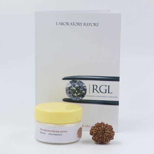 ShivaRatna 6,7,10 Mukhi Rudraksha bead -silver capped - ShivaRatna