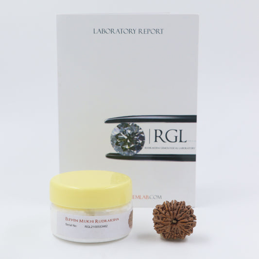 ShivaRatna 11 mukhi elite range (4 pcs of Beads) - silver capping - ShivaRatna