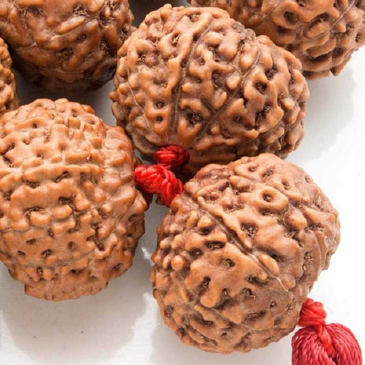 ShivaRatna 9 Mukhi Rudraksha Mala - Lab Certified - ShivaRatna