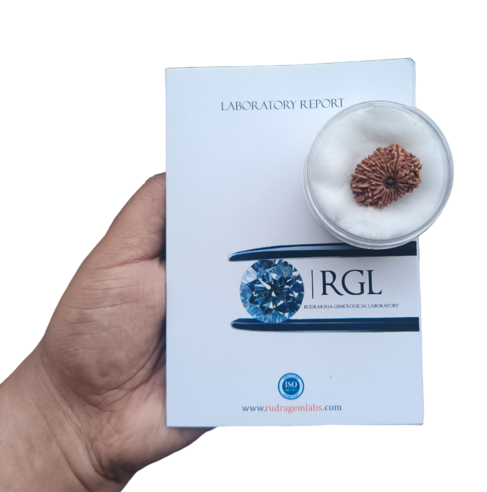 nepali rudraksha