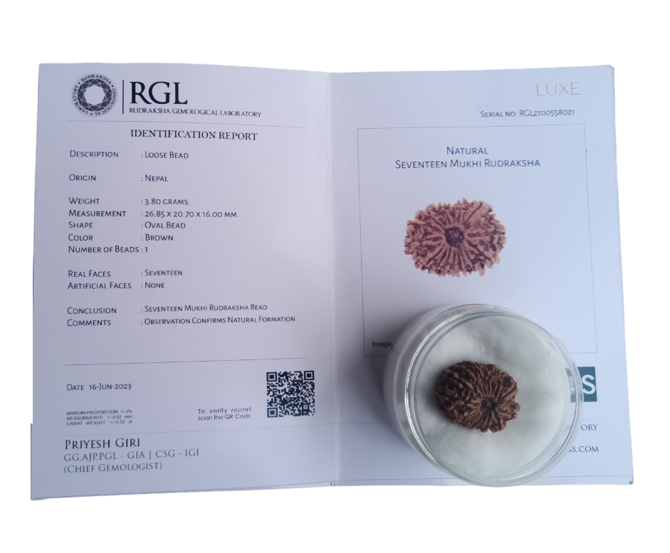 orignal rudraksha