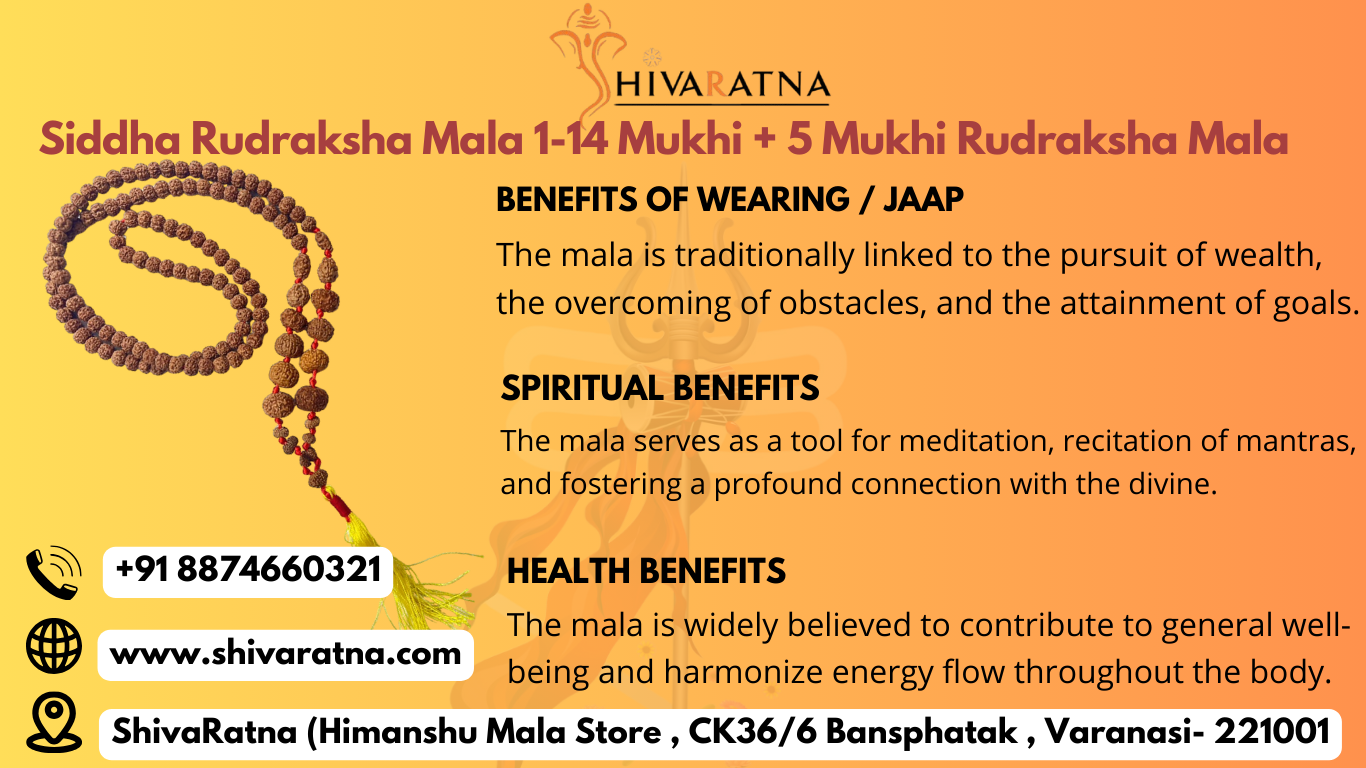rudraksha shop in varanasi orignal siddh mala by shivaratna