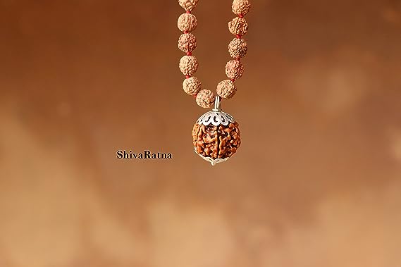 handpicked rudraksha