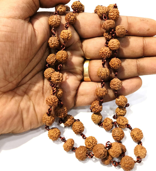 Hand Picked Panch Mukhi Rudraksha