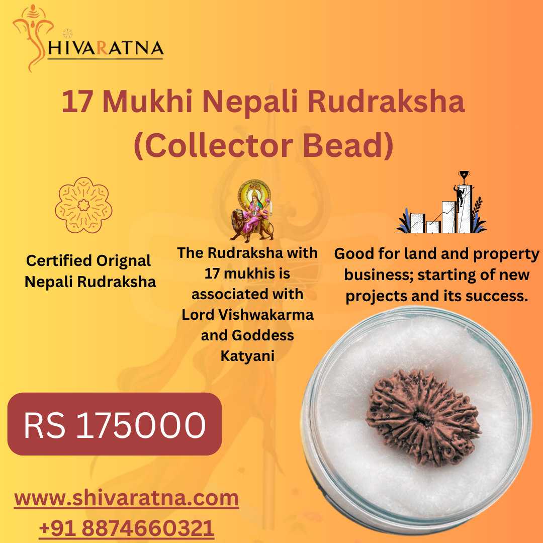 What are the reasons for wearing the 17 Mukhi Rudraksha?