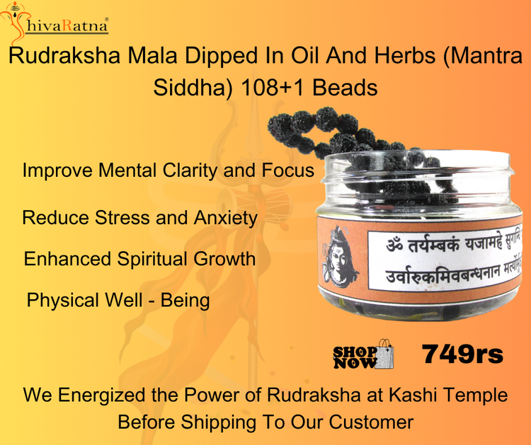 ShivaRatna Rudraksha Mala 108+1 Kralen Pathri/Chikna Mala - ISO Lab Gecertificeerd