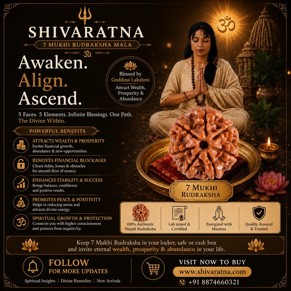 Rudraksha: The Tears of Shiva and the Quiet Path to Inner Peace