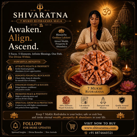 Rudraksha: The Tears of Shiva and the Quiet Path to Inner Peace