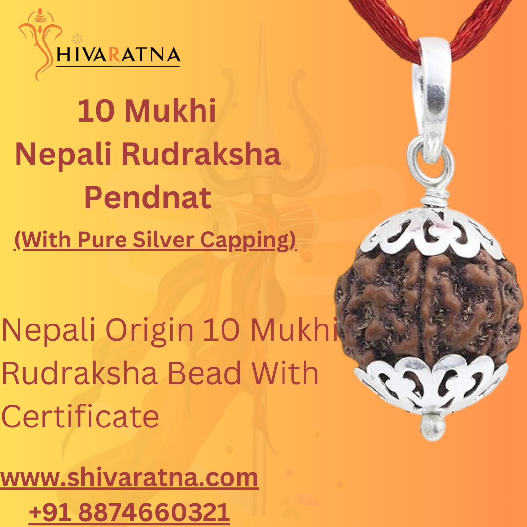 orignal 10mukhi silver capped rudraksha
