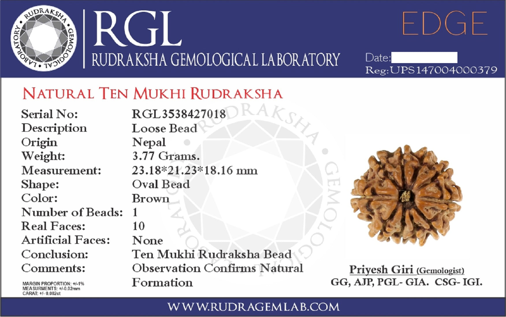 orignal nepali rudraksha