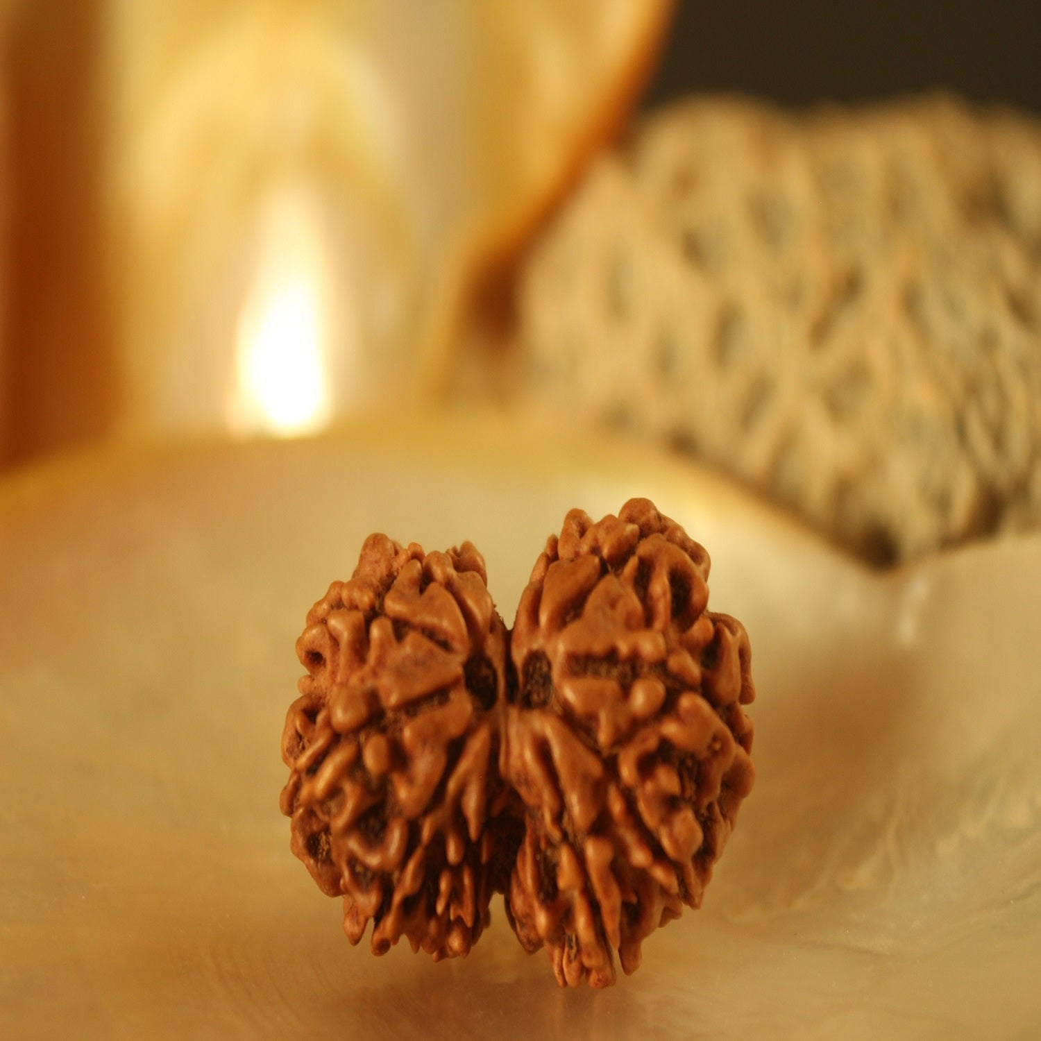 ShivaRatna Gauri Shankar Rudraksha - Certified - Nepal (Mature & Premium Bead) with Strong Natural Joint - ShivaRatna