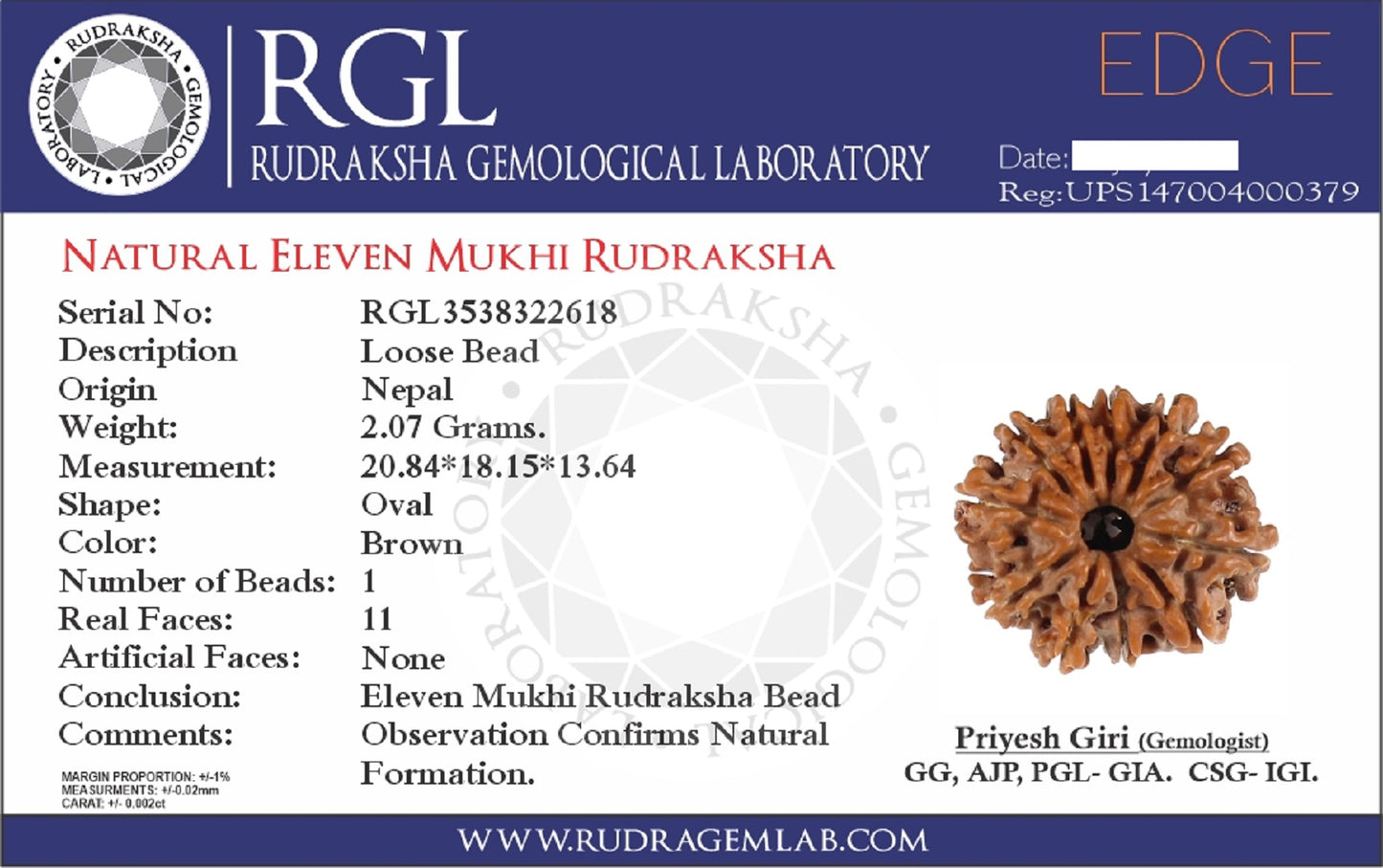 ShivaRatna 11 Mukhi Nepali Rudraksha Made in Pure Silver Cap - Lab Certified