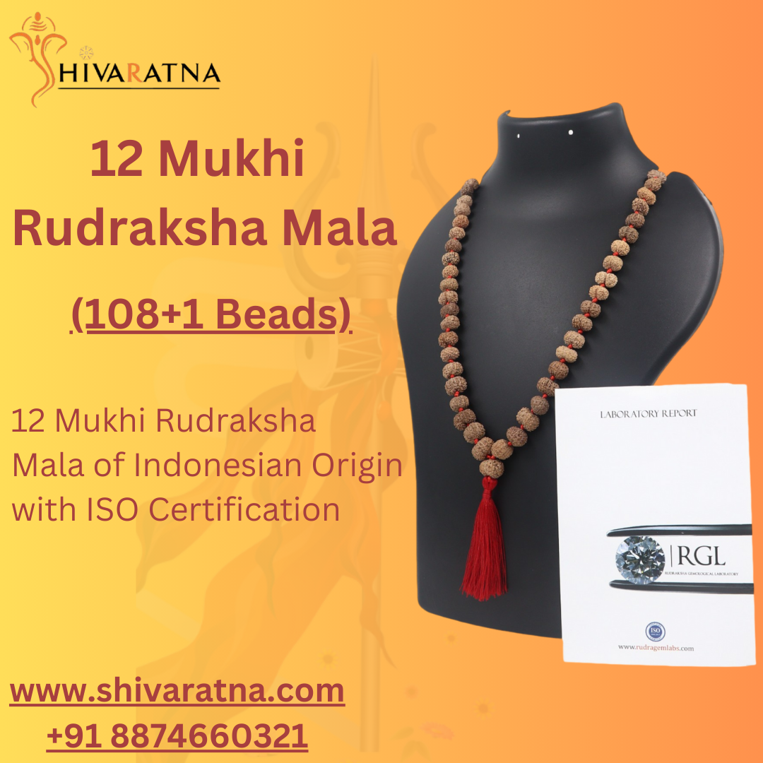 ShivaRatna 12 Mukhi Rudraksha Mala -108 +1 Beads (ISO Certified)