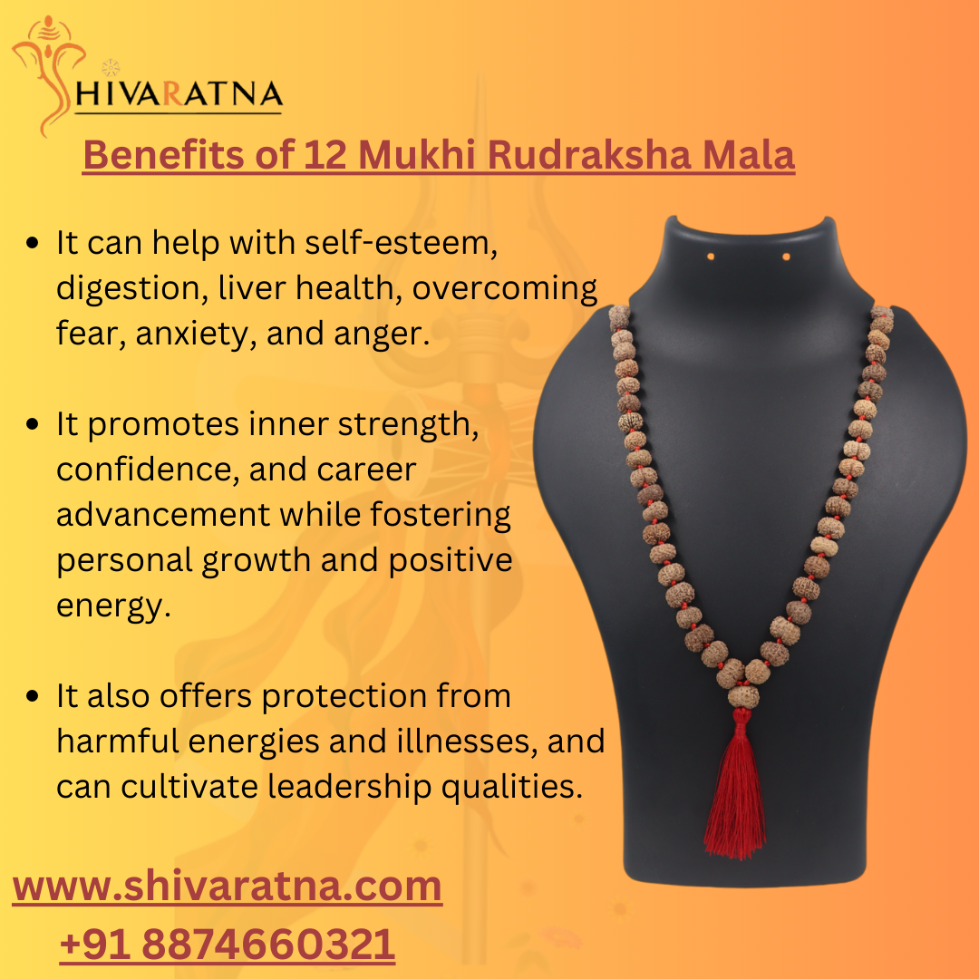 ShivaRatna 12 Mukhi Rudraksha Mala -108 +1 Beads (ISO Certified)