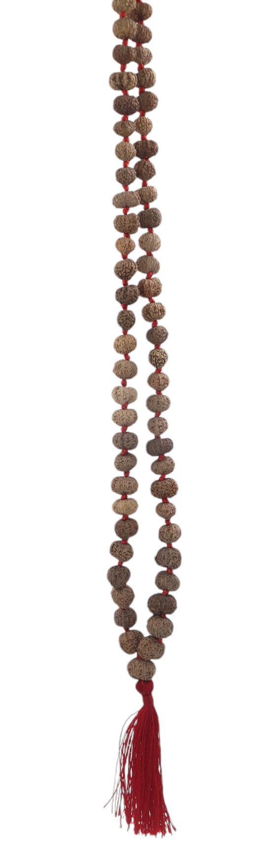 hand picked rudraksha mala