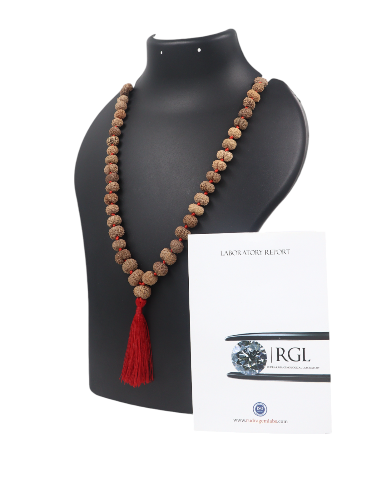 orignal 12mukhi rudraksha mala with iso certification