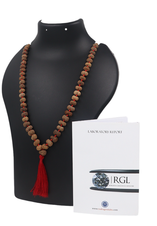 14 mukhi rudraksha mala with iso certification