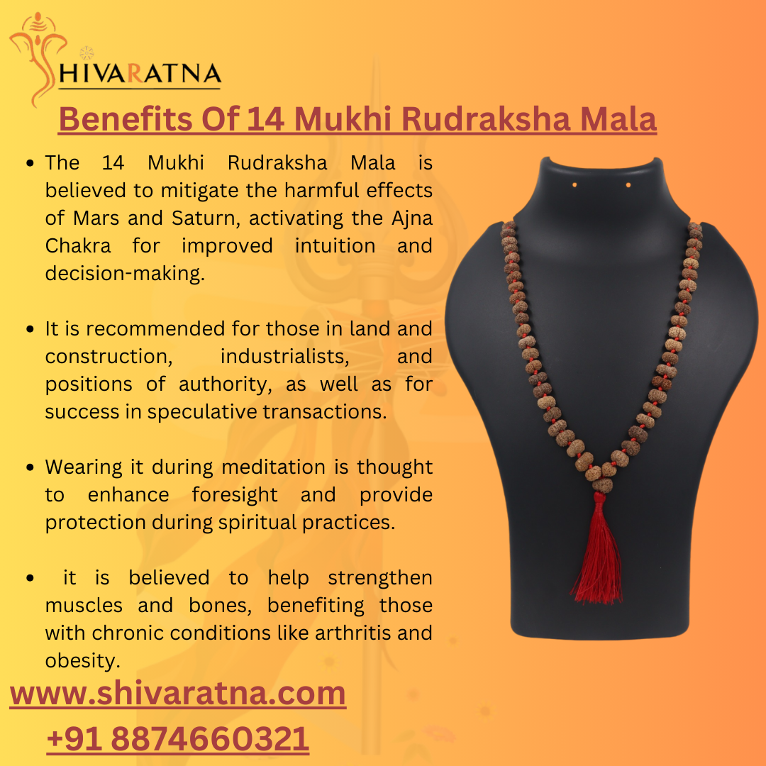 benefits of 14 mukhi rudraksha mala