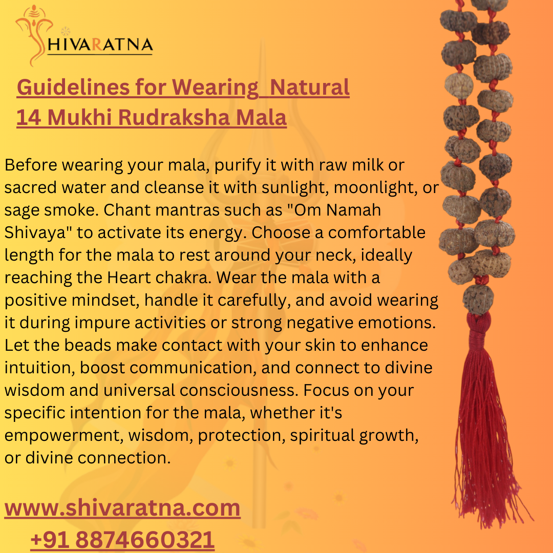 best rudraksha mala from kashi by shivaratna