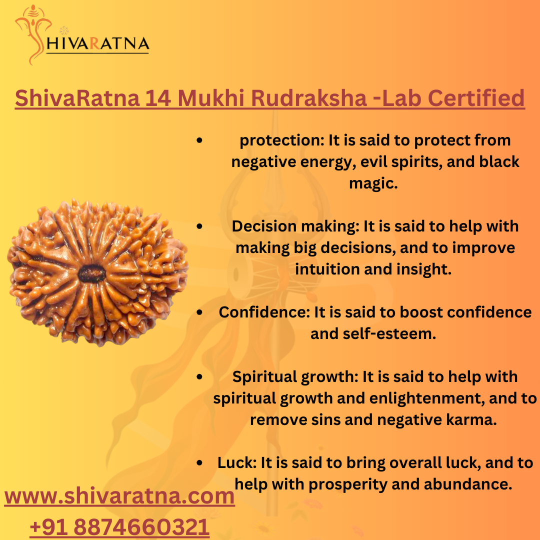 benefits of 14mukhi rudraksha