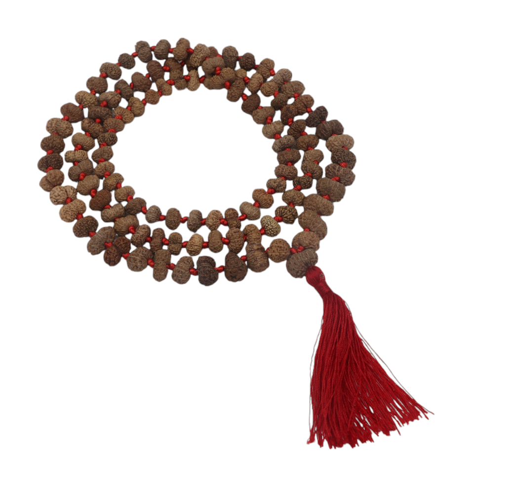 orignla rudraksha mala