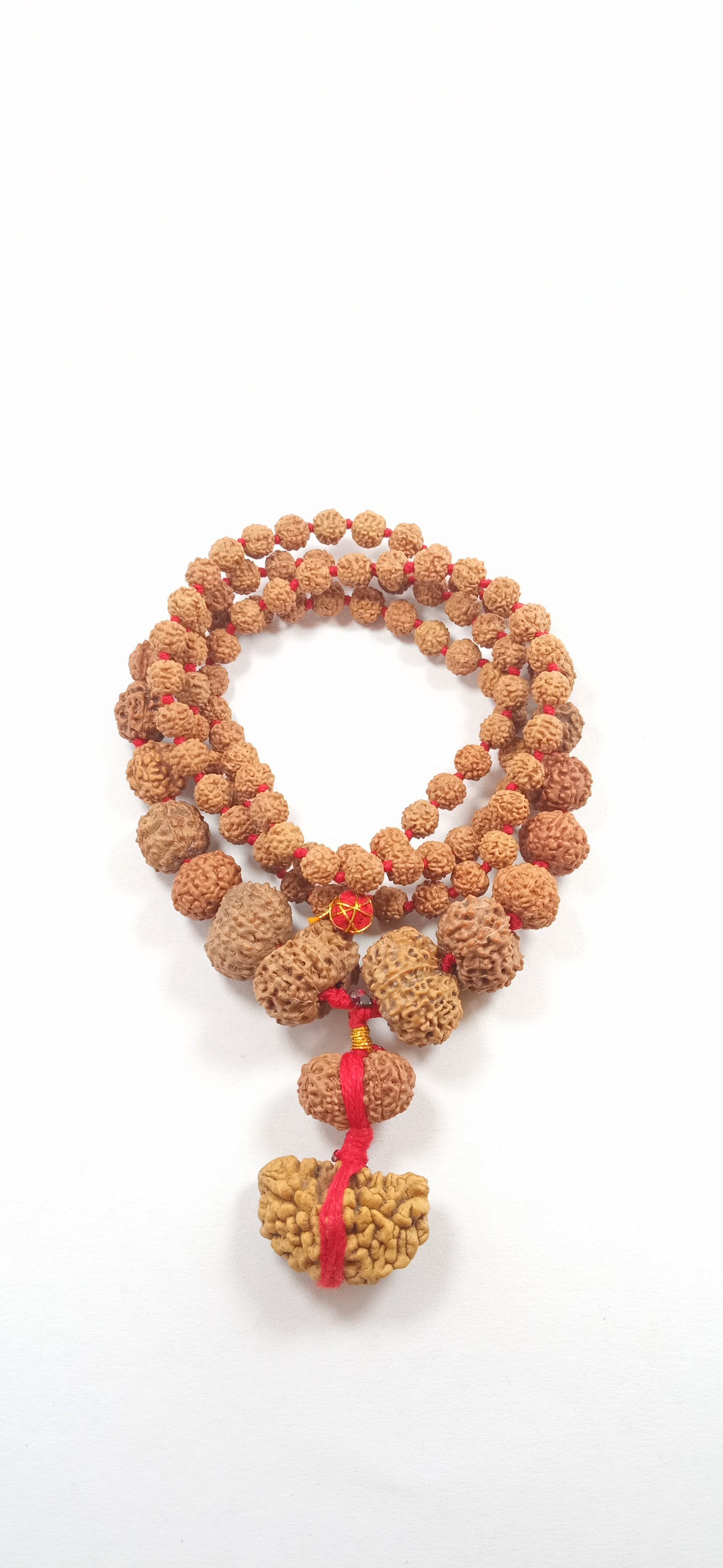 ShivaRatna Siddha Rudraksha Mala 1-14 Mukhi + 5 Mukhi Rudraksha Mala - ShivaRatna