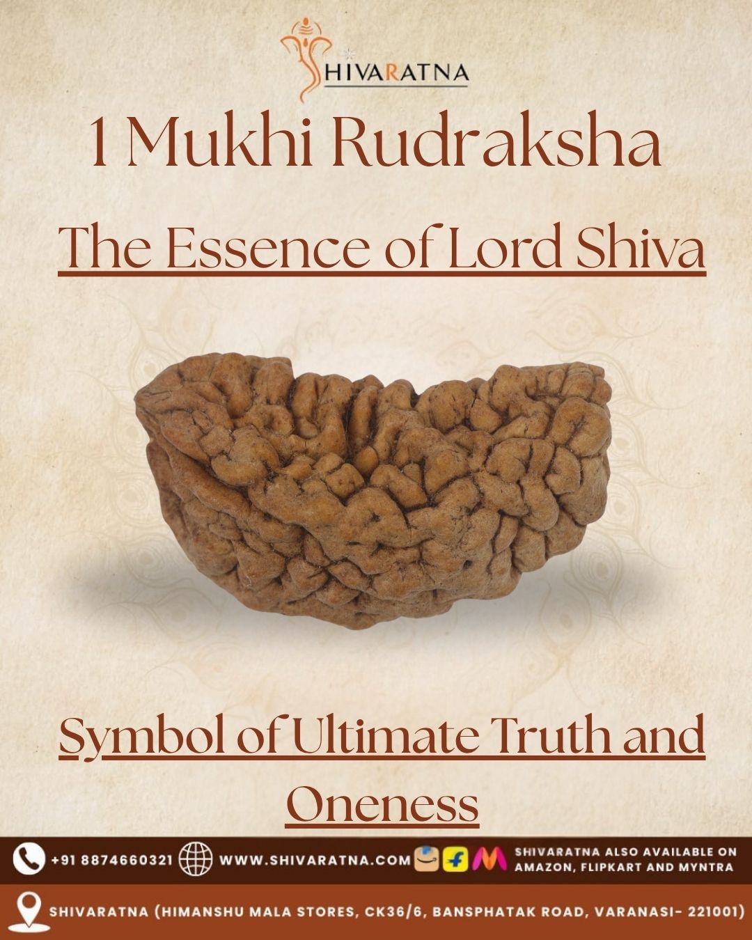 ShivaRatna1 Mukhi X Ray Certified Rudraksha Bead - Hand Picked - One Face - | Good Shape and Grown Beads - ShivaRatna