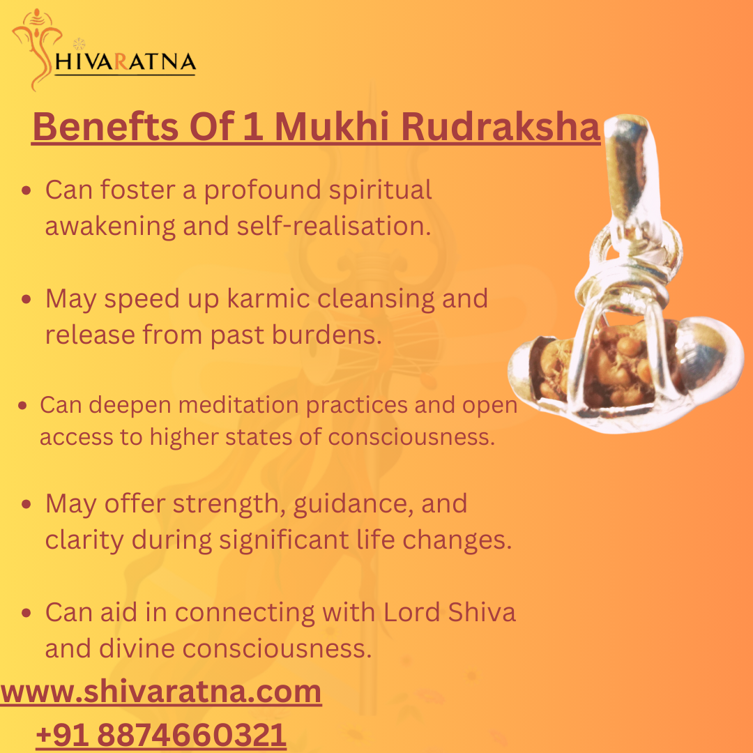 ShivaRatna 1 Mukhi Rudraksha (Real Rudraksha Seed - Indonesian Origin) Made in Pure Silver - Lab Certified