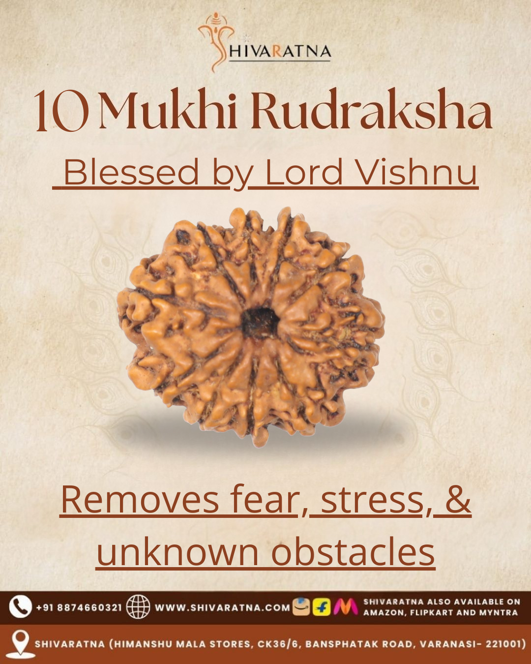 ShivaRatna 10 Mukhi Rudraksha Bead – Nepal Origin | X-Ray Verified | Handpicked | Mature & Premium Quality