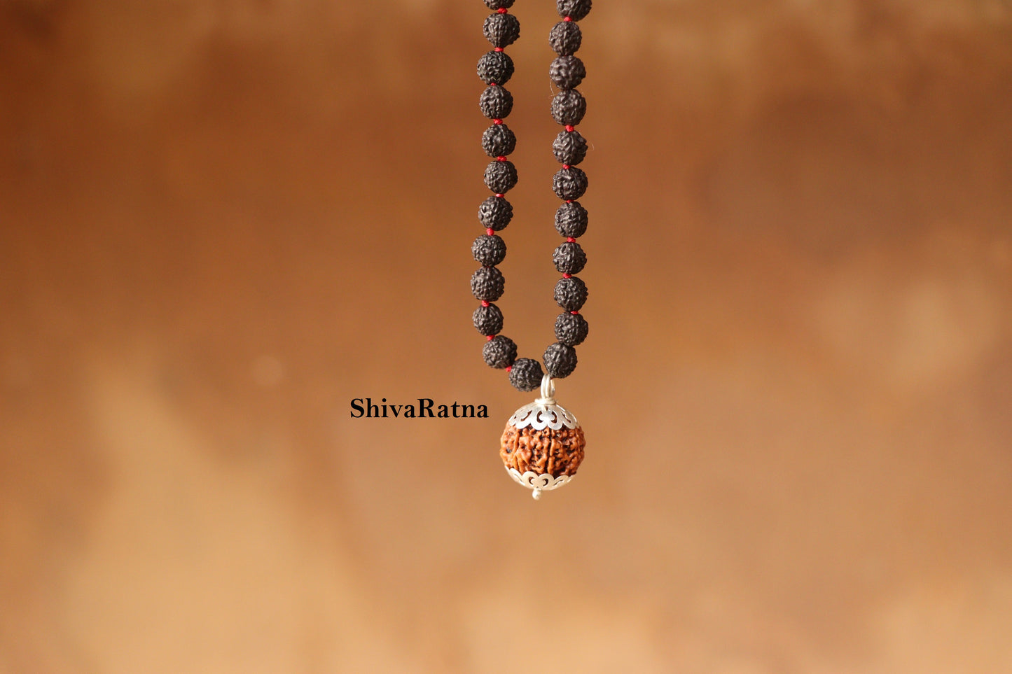 ShivaRatna 7 Mukhi Nepali Rudraksha Guru Mani with 108+1 Beads of 5 Mukhi Rudraksha Mala (Pure Silver Cap + Lab Certified)